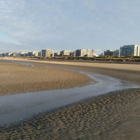 Neptunus Apartment De Panne