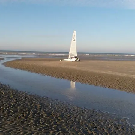 Neptunus De Panne